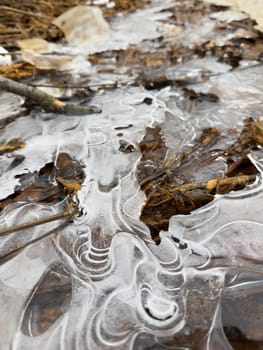 thin transparent ice on a puddle in the park on a winter day, foliage through the ice. High quality photo