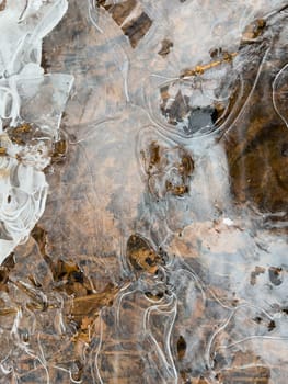 thin transparent ice on a puddle in the park on a winter day, foliage through the ice. High quality photo