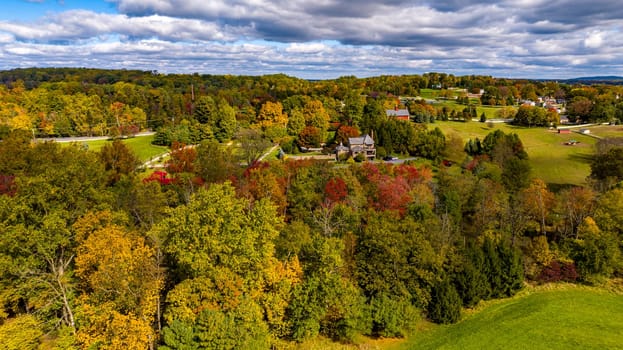 An Aerial View of a Colorful Autumn Forest on a Sunny Fall Day