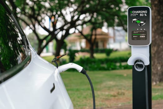 EV electric vehicle recharging battery from EV charging station in outdoor green city park scenic. Natural protection with eco friendly EV car travel. Exalt