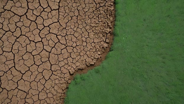 Top view of green nature in the middle of a cracked earth.Green nature in the middle of a dry and cracked earth, aerial view.