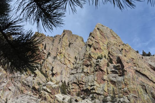 Steep Rocky Cliffs and Pine Tree, Hiking on Fowler Trail Near Boulder, Colorado. High quality photo