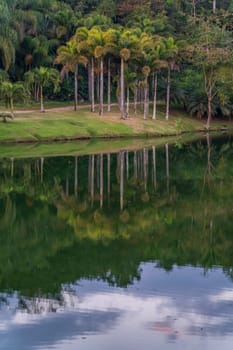 Tropical scene with calm waters reflecting palm trees.
