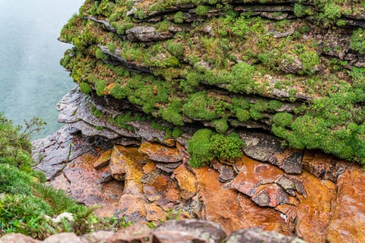 Moss-covered rocks on a cliff present a tranquil natural landscape.