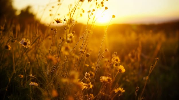 The warm glow of a setting sun bathes a meadow filled with wildflowers, creating an atmosphere of tranquil beauty - Nature background - Generative AI