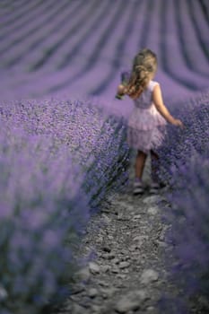 Lavender field girl. Back view happy girl in pink dress with flowing hair runs through a lilac field of lavender. Aromatherapy travel.