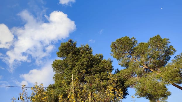 Blue light sky nature white clouds whether background . High quality photo