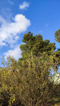 Blue light sky nature white clouds whether background . High quality photo