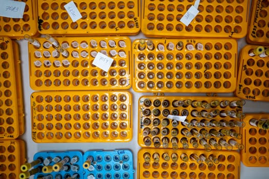 laboratory flasks with analyses in an orange stand.