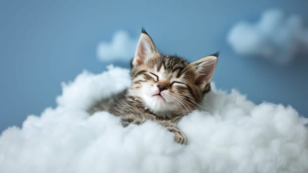 A kitten sleeping on a cloud of fluffy white clouds