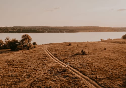 couple in love man and woman are walking along vast deserted meadow on grass in summer hot warm weather at sunset in nature. sun over river. top aerial drone view of meadows field with rare trees