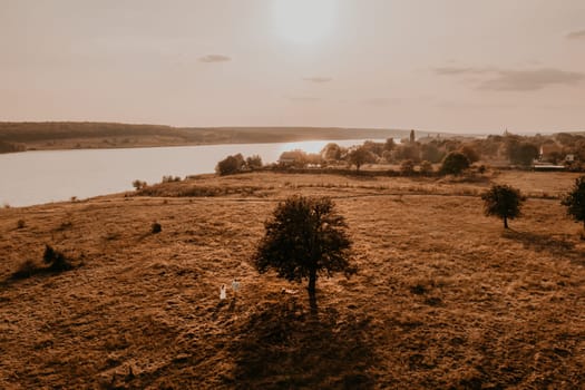 couple in love man and woman are walking along vast deserted meadow on grass in summer hot warm weather at sunset in nature. sun over river. top aerial drone view of meadows field with rare trees