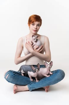 Redhead young woman holding Sphynx Cat in hands and two kittens sitting on her legs. Hipster woman with short hair in T-shirt and jeans looking at camera, sitting on white background. Part of series