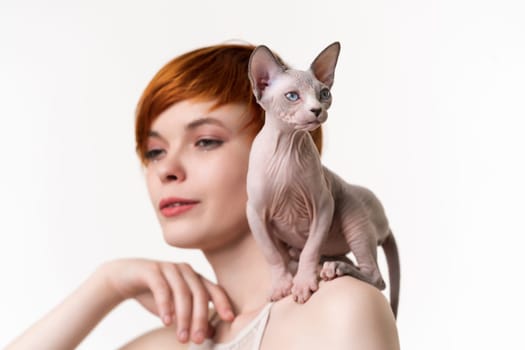 Sphynx Hairless kitten sitting on shoulder of pretty redhead young woman with short hair. Head shot on white background. Selective focus on cat, shallow depth of field. Part of series.