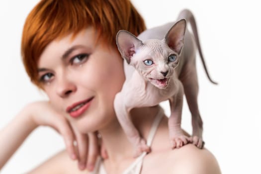 Canadian Sphynx Cat stands in defensive posture and meows on shoulder of redhead young woman. Selective focus on kitten, shallow depth of field. Studio shot on white background. Part of series.