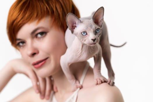 Canadian Sphynx Cat standing in defensive pose on shoulder of redhead young woman with short hair. Selective focus on kitten, shallow depth of field. Head shot on white background. Part of series.