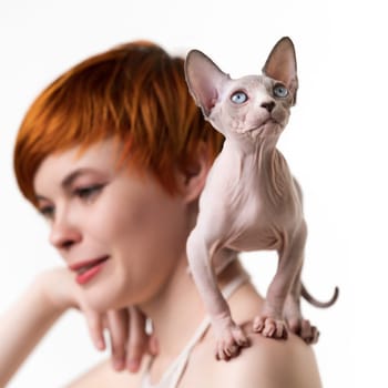 Playful Sphynx Cat looking up, stands on shoulder of redhead young woman. Studio shot on white background. Selective focus on domestic animal, shallow depth of field. Square format, part of series.