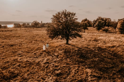 Happy family loving couple pregnant woman in white cotton dress walks with husband in meadow in summer. man in light natural clothes and shorts holds hand wife. trees in sunbeams. aerial drone view