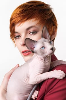 Canadian Sphynx Cat looking away, sitting on shoulder redhead young woman. Selective focus on foreground domestic hairless kitten, shallow depth of field. Studio shot, white background. Part of series