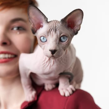 Sphynx Hairless Cat looking at camera sitting on shoulder of smiling redhead young woman dressed in red jacket. Front view, studio shot on white background. Part of series.
