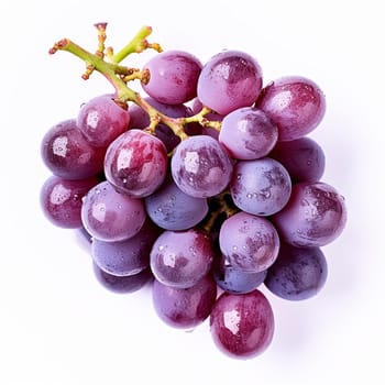 A bunch of fresh, ripe, purple grapes with water droplets.