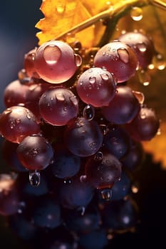 Close-up of ripe grapes with dew drops against a warm bokeh background.