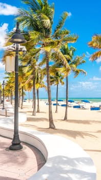 Seafront beach promenade with palm trees on sunny day in Fort Lauderdale