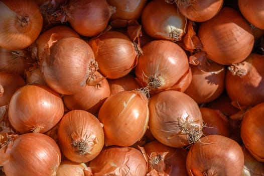 onions in a box near the village store 1
