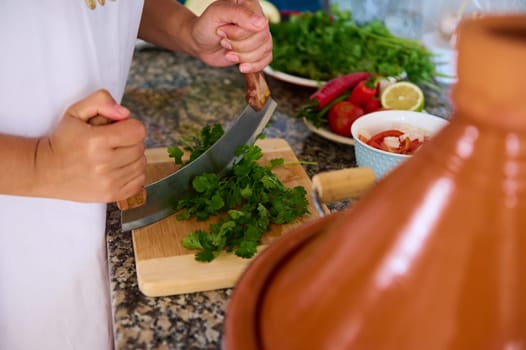 Unrecognizable woman's hands holding a mezzaluna kitchen knife, chopping parsley and cilantro green herbs, preparing greens for seasoning a traditional Moroccan dish - organic veggies cooked in tagine