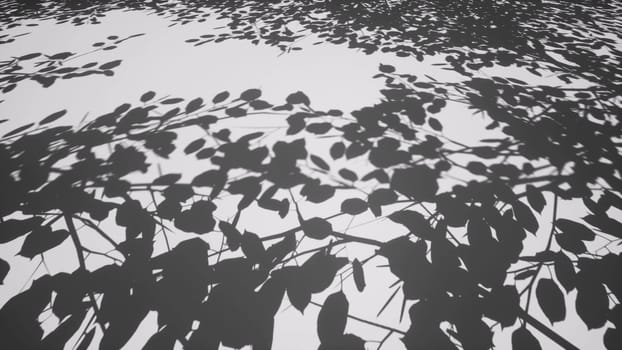 Shadows of leaves and tree branches on white surface 3d render