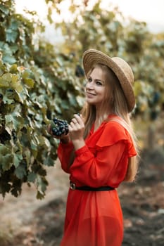 portrait of a happy woman in the summer vineyards at sunset. woman in a hat and smiling