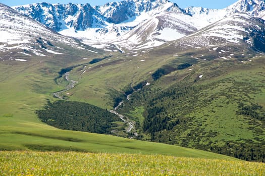 A hiking paradise in Alpine meadow zone in mountains at summer