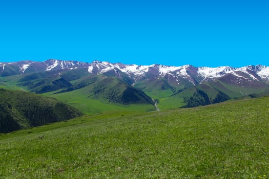 A hiking paradise in Alpine meadow zone in mountains at summer