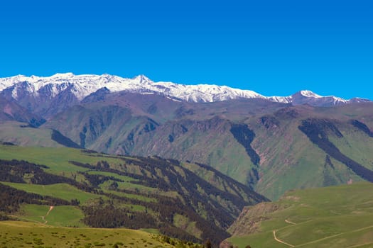 A hiking paradise in Alpine meadow zone in mountains at summer