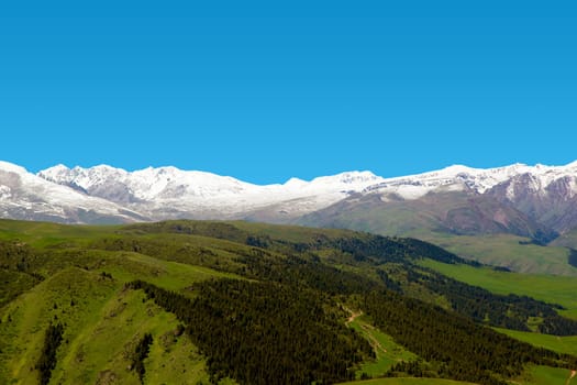 A hiking paradise in Alpine meadow zone in mountains at summer