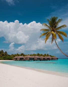 A breathtaking view of a pristine beach adorned with tall palm trees under the clear blue sky. The crystal blue waters add to the serene atmosphere.