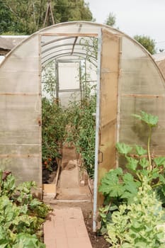 Large greenhouses for growing homemade vegetables. The concept of gardening and life in the country