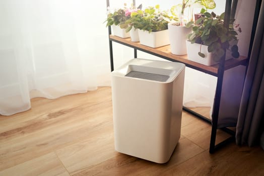 Modern air humidifier in home, clean air, healthcare concept