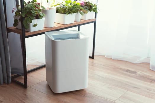 Modern air humidifier in living room. Comfortable living conditions.