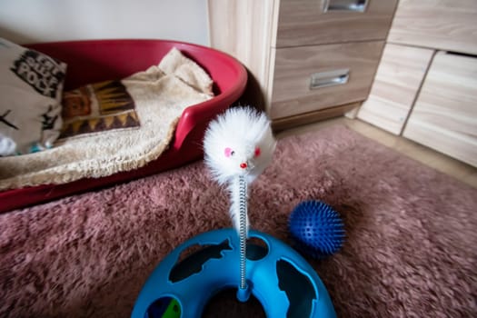 Mouse and Ball Cat Toy on carpet close up