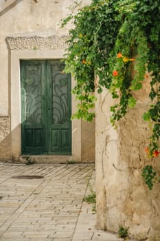 Old stone wall with summer green ivy and gate to house in Old Town of Biograd na Moru in Croatia