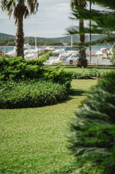 Waterfront summer garden with palm trees and flower beds in Old Town, Biograd na Moru in Croatia