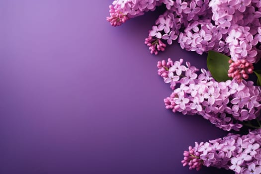 Spring background with a lilac branch on the right and space for text.