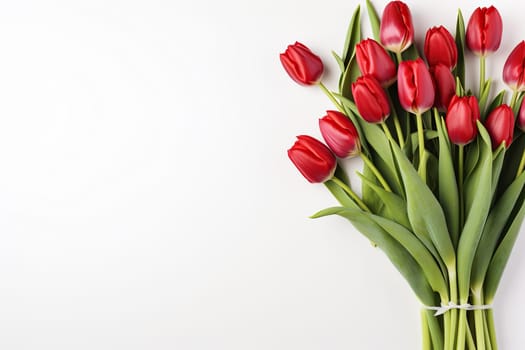 Bouquet of beautiful red tulips on a white background with space for text. Mother's Day, March 8, birthday.