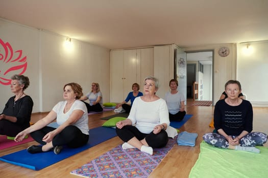 A group of senior women engage in various yoga exercises, including neck, back, and leg stretches, under the guidance of a trainer in a sunlit space, promoting well-being and harmony.