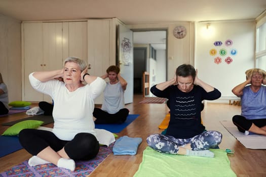 A group of senior women engage in various yoga exercises, including neck, back, and leg stretches, under the guidance of a trainer in a sunlit space, promoting well-being and harmony.