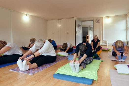 A group of senior women engage in various yoga exercises, including neck, back, and leg stretches, under the guidance of a trainer in a sunlit space, promoting well-being and harmony.