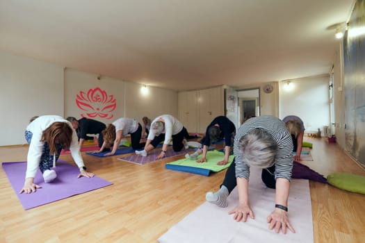 A group of senior women engage in various yoga exercises, including neck, back, and leg stretches, under the guidance of a trainer in a sunlit space, promoting well-being and harmony.