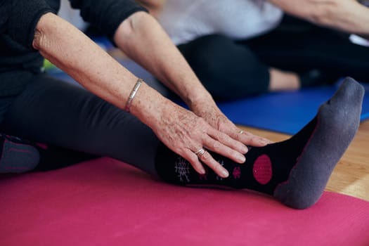 A group of senior women engage in various yoga exercises, including neck, back, and leg stretches, under the guidance of a trainer in a sunlit space, promoting well-being and harmony.