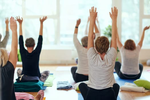 A group of senior women engage in various yoga exercises, including neck, back, and leg stretches, under the guidance of a trainer in a sunlit space, promoting well-being and harmony.